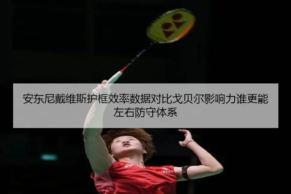 安东尼戴维斯护框效率数据对比戈贝尔影响力谁更能左右防守体系