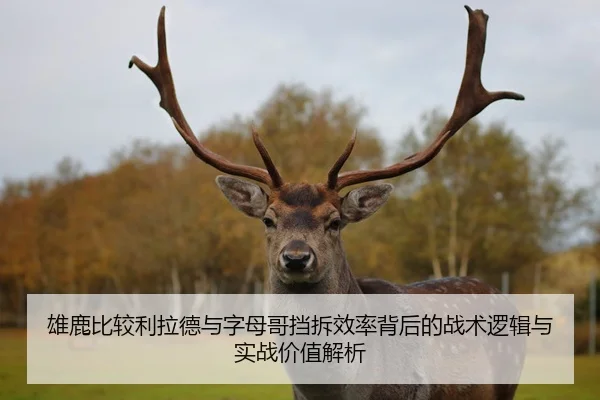 雄鹿比较利拉德与字母哥挡拆效率背后的战术逻辑与实战价值解析