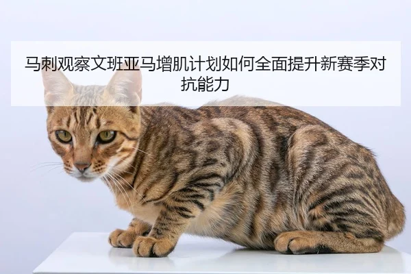 马刺观察文班亚马增肌计划如何全面提升新赛季对抗能力