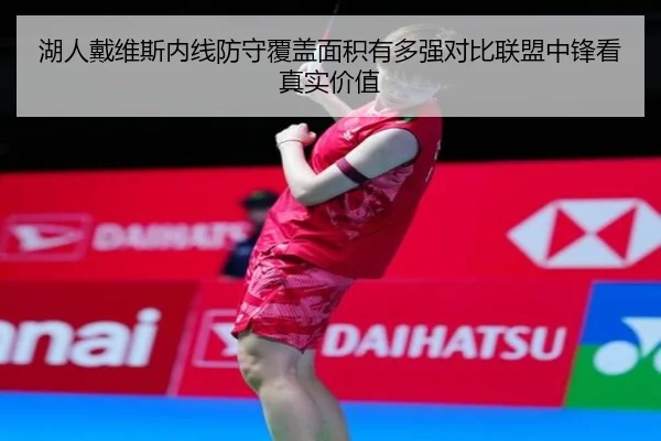 湖人戴维斯内线防守覆盖面积有多强对比联盟中锋看真实价值