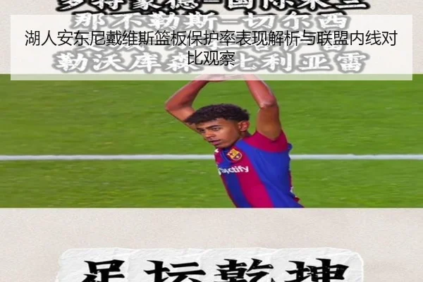 湖人安东尼戴维斯篮板保护率表现解析与联盟内线对比观察